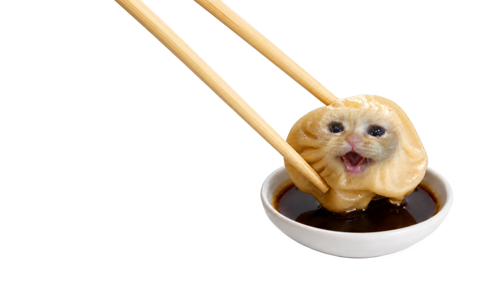 Dumpling Cat held by chopsticks over a bowl of soy sauce